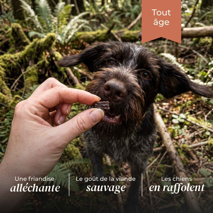 Friandises sanglier - friandise_naturelle_pour_chien - TRUFFE DÉLICE