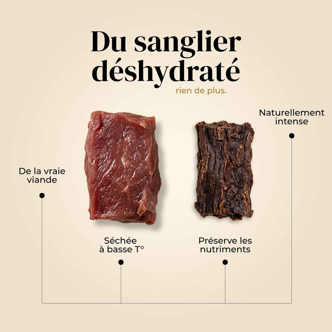 Friandises sanglier - friandise_naturelle_pour_chien - TRUFFE DÉLICE