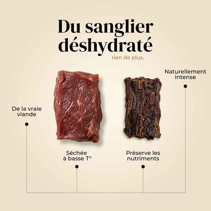 Friandises sanglier - friandise_naturelle_pour_chien - TRUFFE DÉLICE