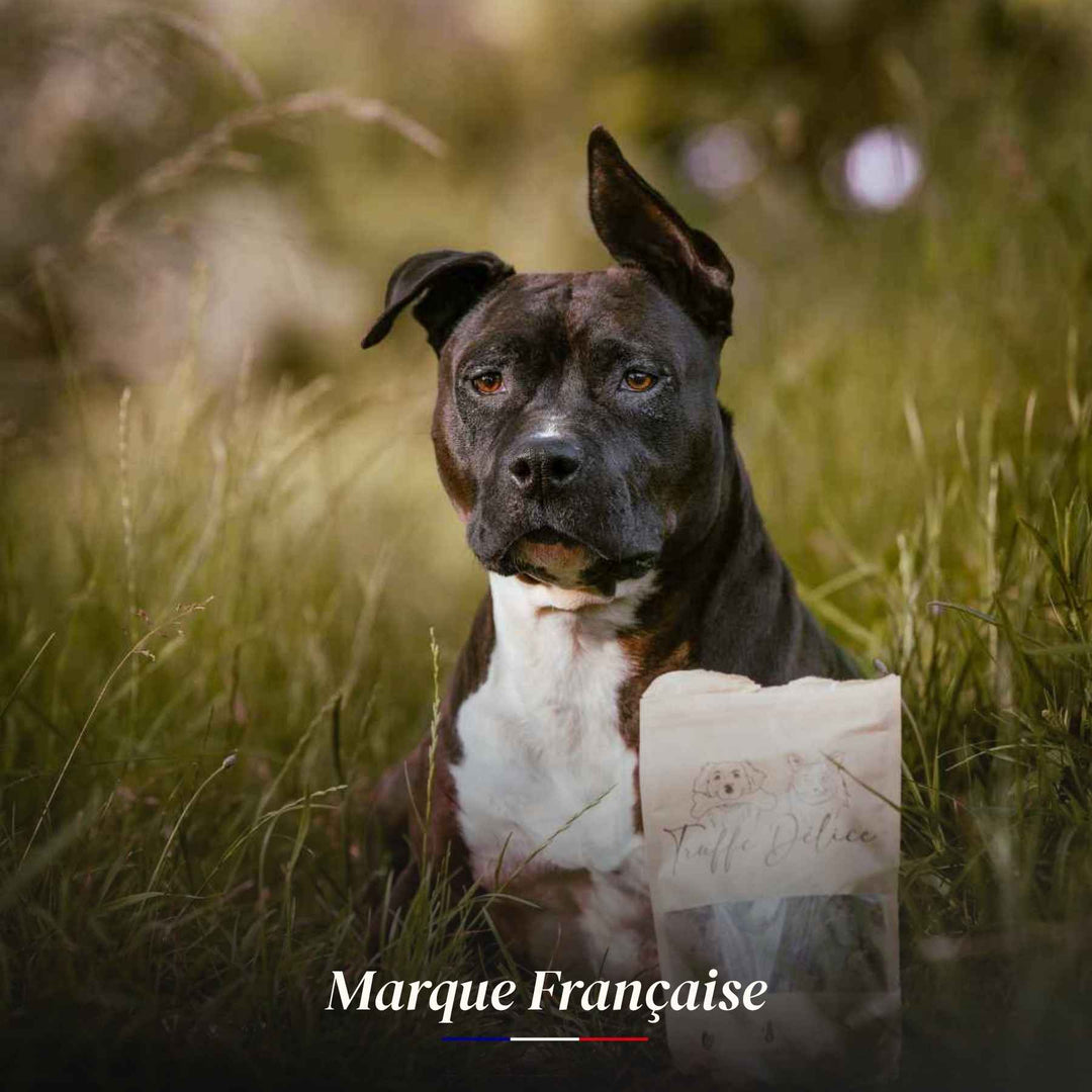 Friandises sanglier - friandise_naturelle_pour_chien - TRUFFE DÉLICE