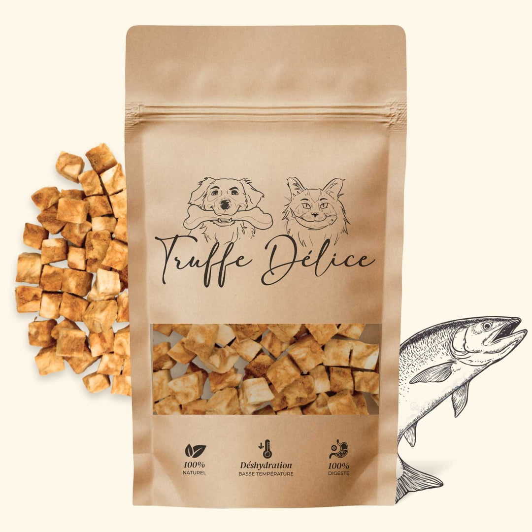 Friandises saumon - friandise_naturelle_pour_chien - TRUFFE DÉLICE