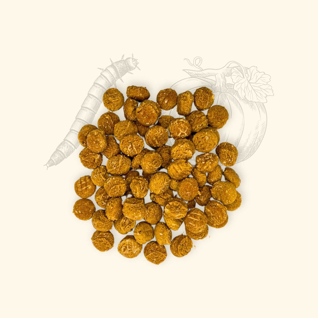 Friandises vers - friandise_naturelle_pour_chien - TRUFFE DÉLICE