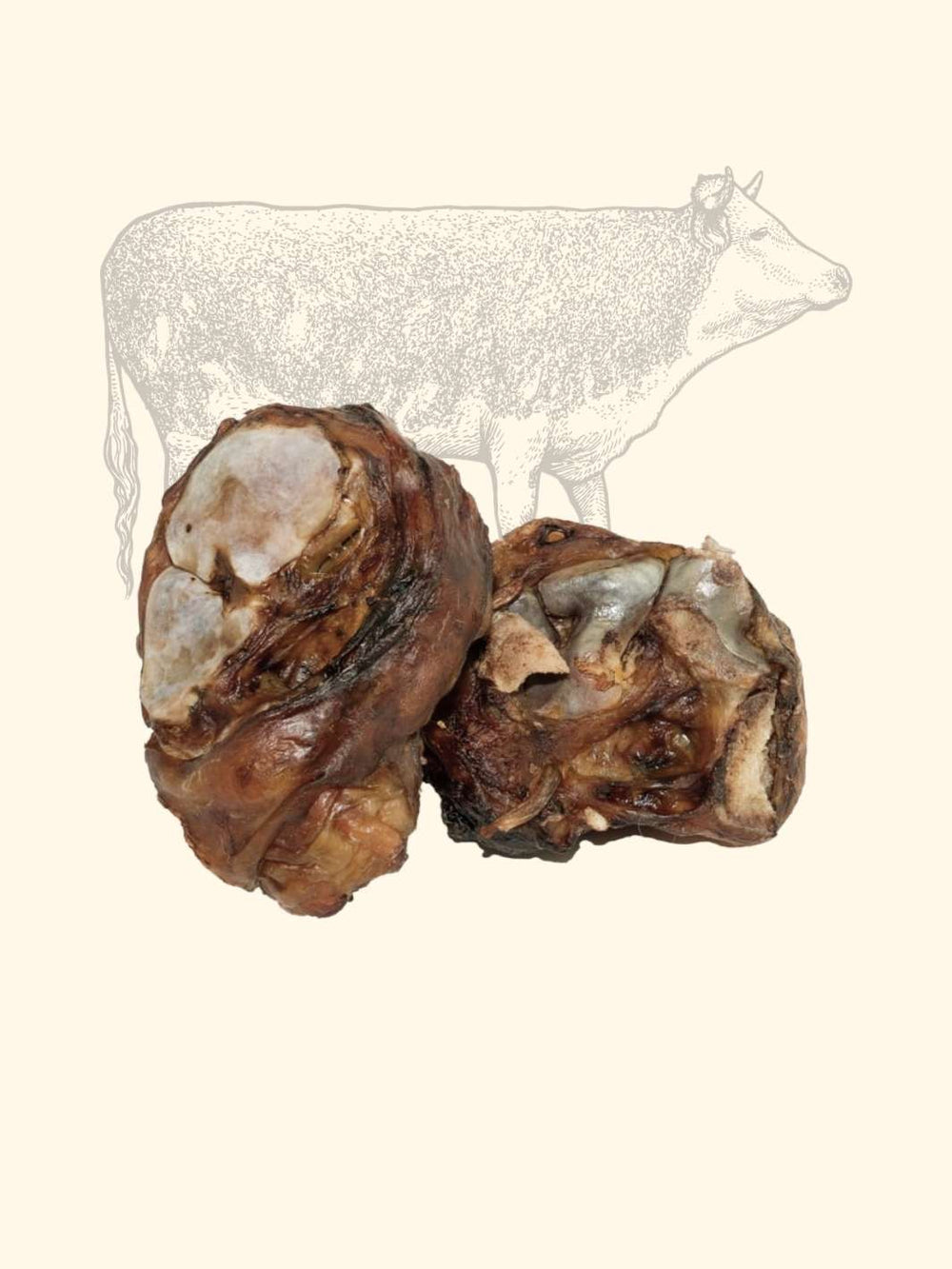 Genou de bœuf - friandise_naturelle_pour_chien - TRUFFE DÉLICE