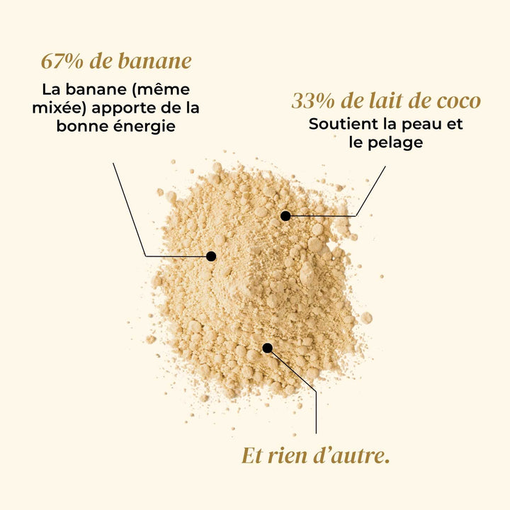 Glace banane - friandise_naturelle_pour_chien - TRUFFE DÉLICE