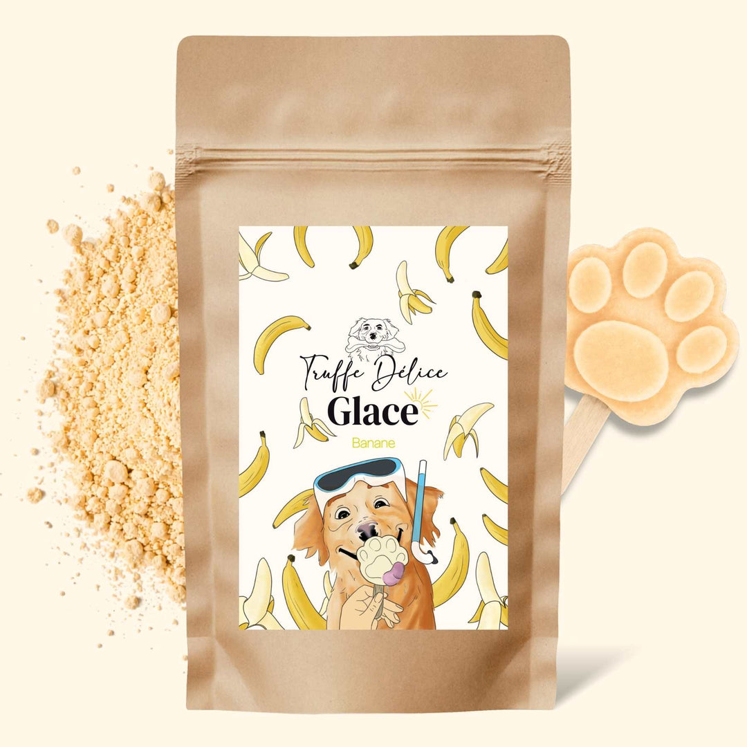 Glace banane - friandise_naturelle_pour_chien - TRUFFE DÉLICE