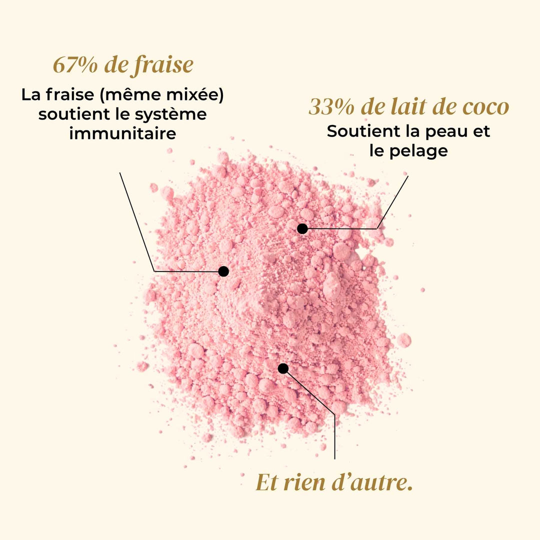 Glace fraise - friandise_naturelle_pour_chien - TRUFFE DÉLICE