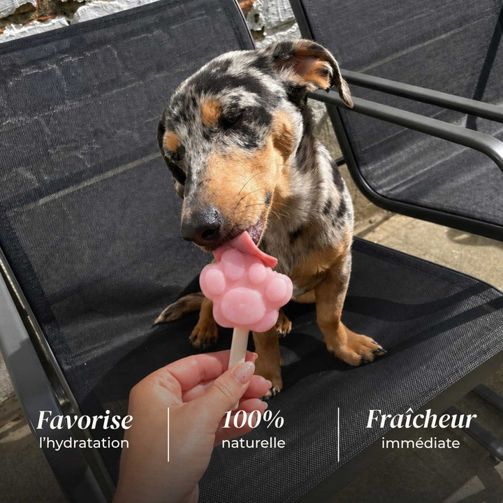 Glace fraise - friandise_naturelle_pour_chien - TRUFFE DÉLICE