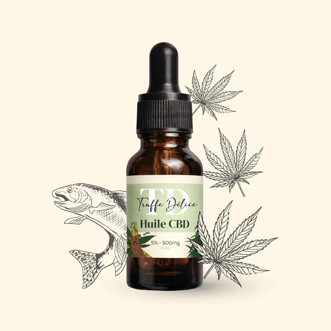 Huile CBD chien - friandise_naturelle_pour_chien - TRUFFE DÉLICE