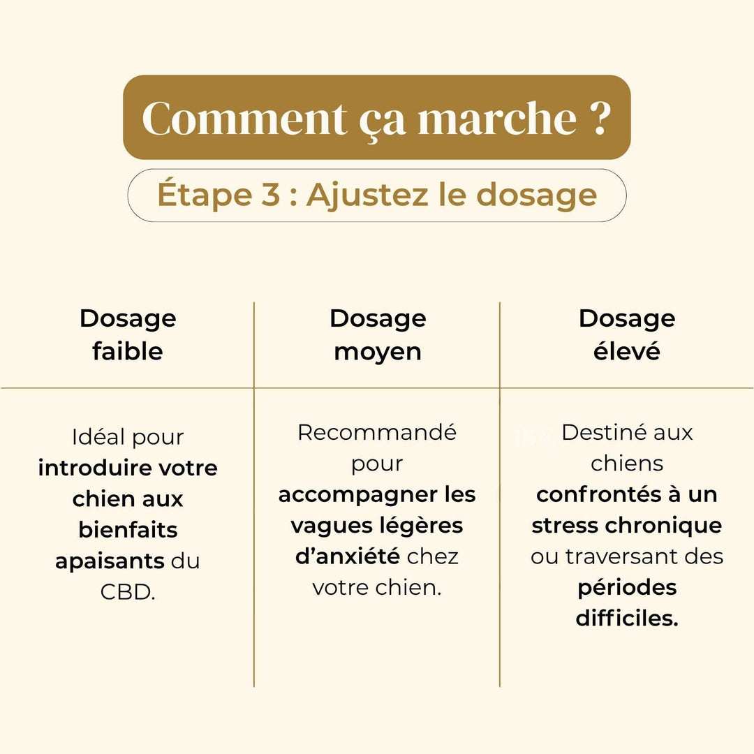 Huile CBD chien - friandise_naturelle_pour_chien - TRUFFE DÉLICE