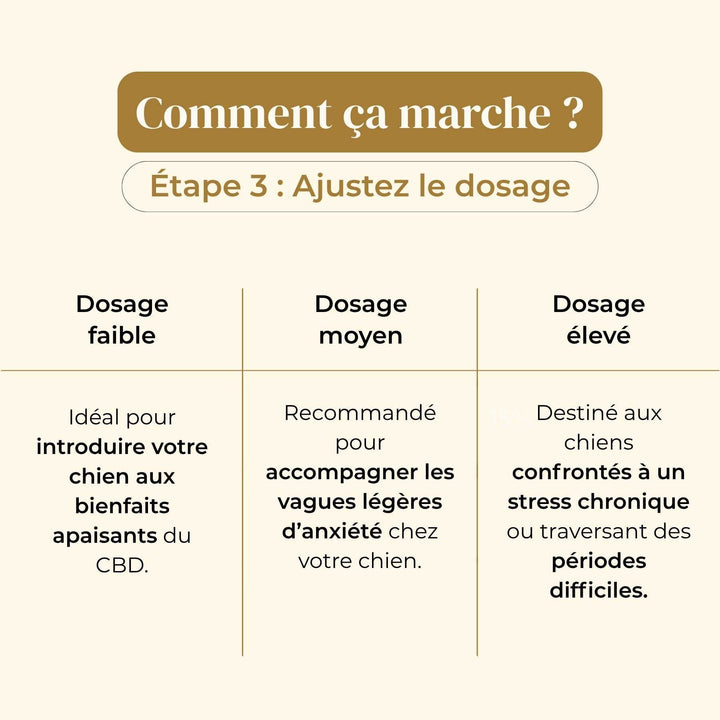 Huile CBD chien - friandise_naturelle_pour_chien - TRUFFE DÉLICE