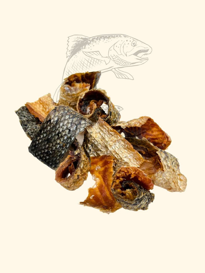 Morceaux de saumon à la chair fondante - friandise_naturelle_pour_chien - TRUFFE DÉLICE
