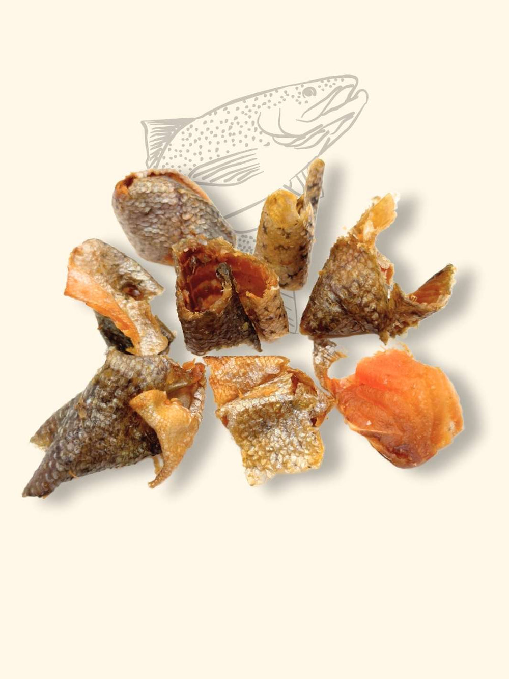 Morceaux de truite à la chair fondante - friandise_naturelle_pour_chien - TRUFFE DÉLICE