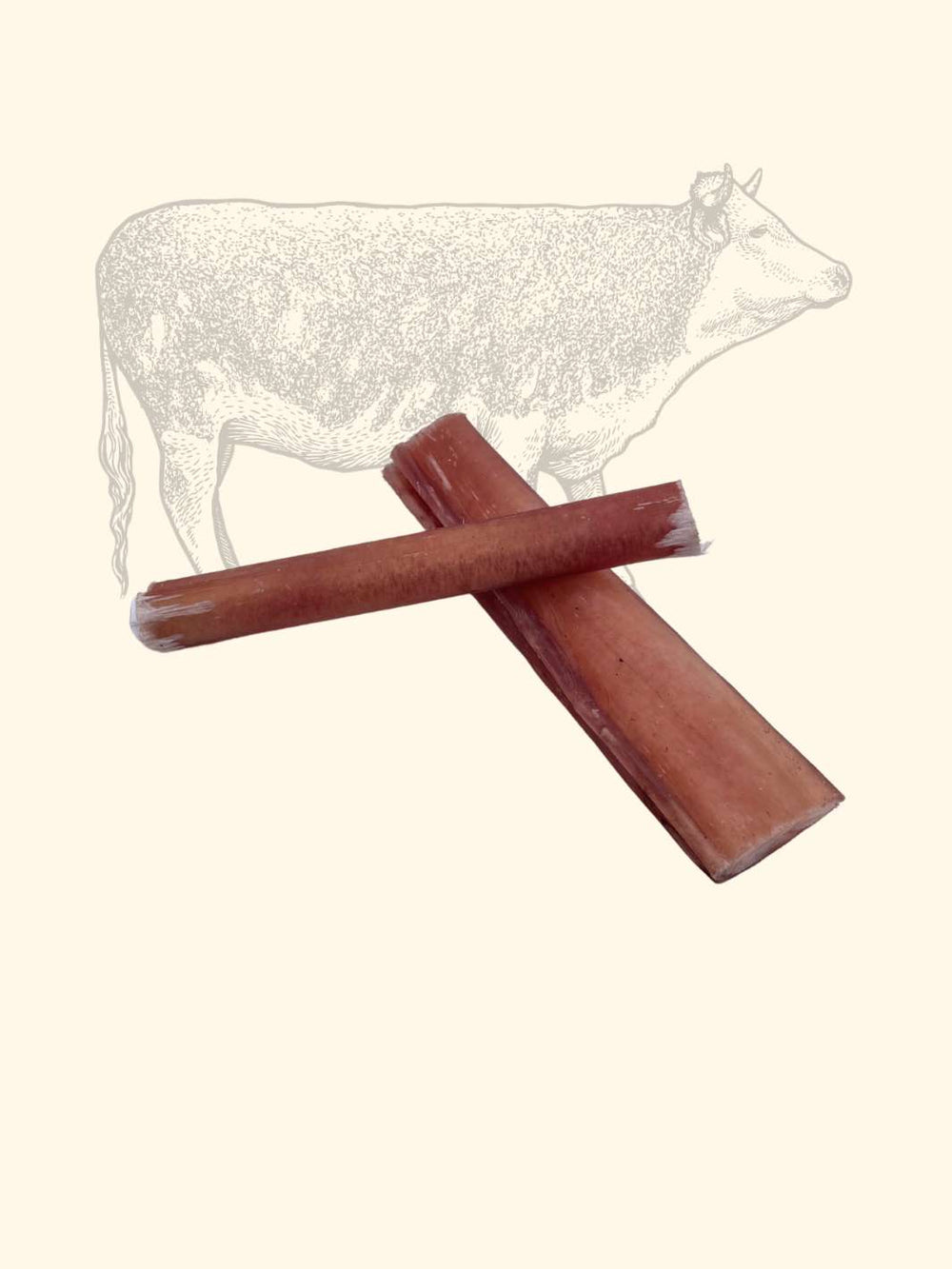 Nerfs de boeuf - friandise_naturelle_pour_chien - TRUFFE DÉLICE