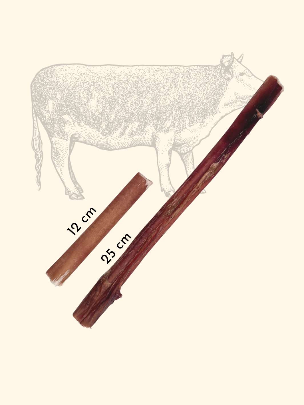 Nerfs de boeuf - friandise_naturelle_pour_chien - TRUFFE DÉLICE