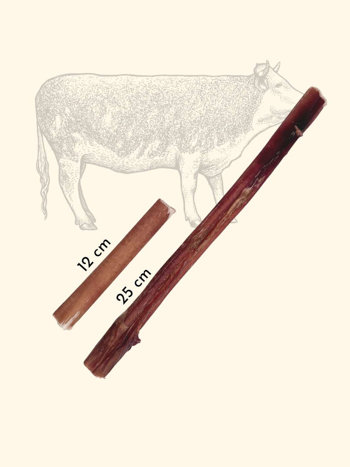 Nerfs de boeuf - friandise_naturelle_pour_chien - TRUFFE DÉLICE