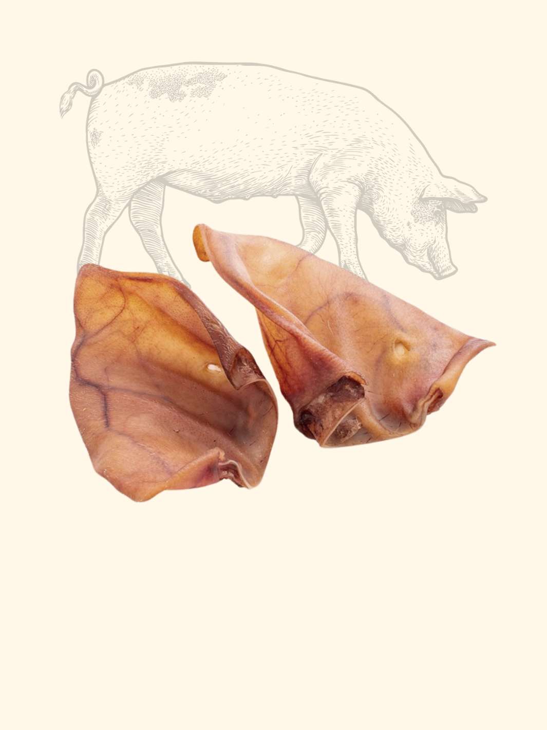 Oreilles de cochon - friandise_naturelle_pour_chien - TRUFFE DÉLICE