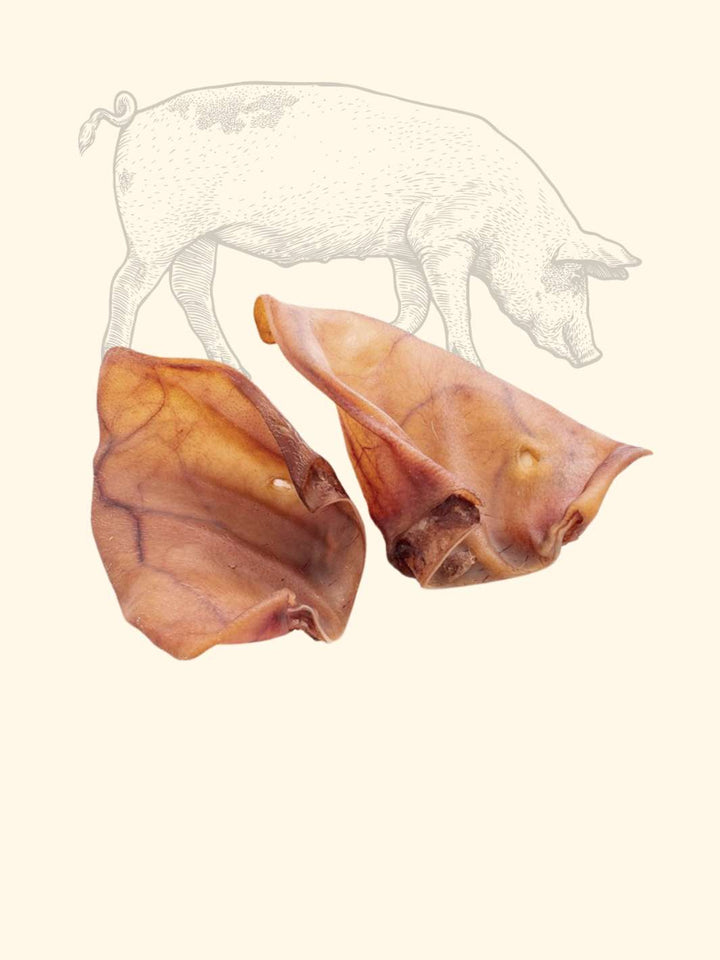 Oreilles de cochon - friandise_naturelle_pour_chien - TRUFFE DÉLICE