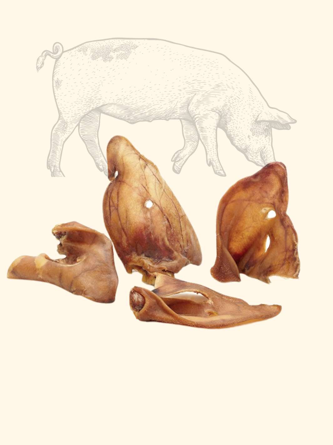 Oreilles de cochon - friandise_naturelle_pour_chien - TRUFFE DÉLICE