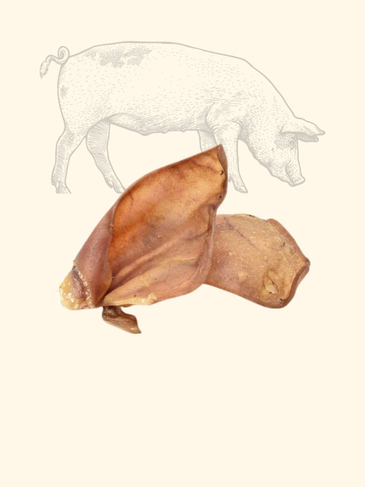 Oreilles de cochon - friandise_naturelle_pour_chien - TRUFFE DÉLICE