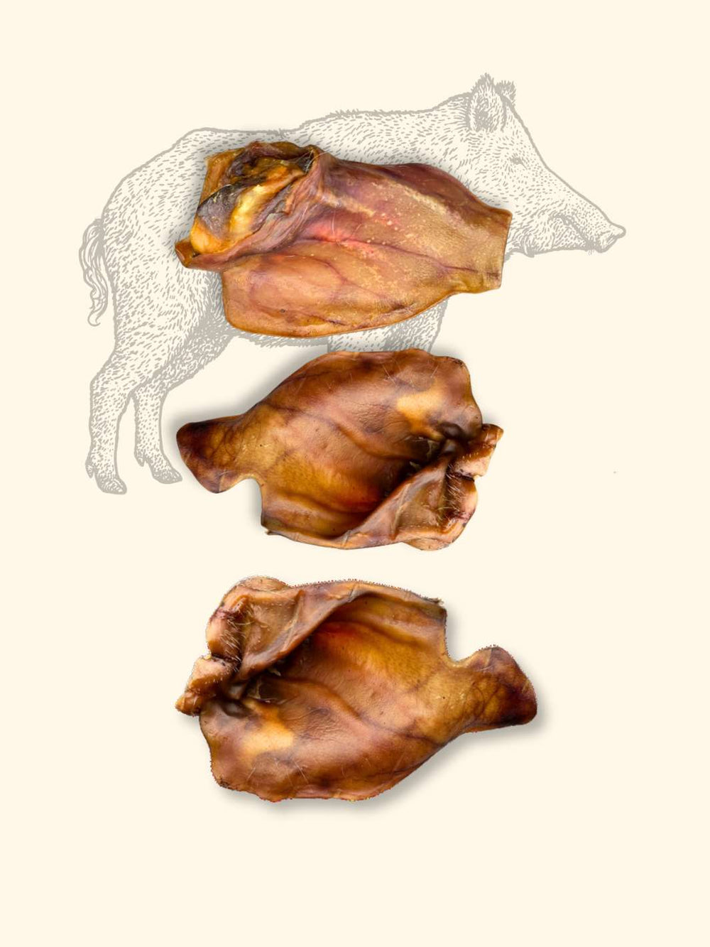Oreilles de sanglier - friandise_naturelle_pour_chien - TRUFFE DÉLICE