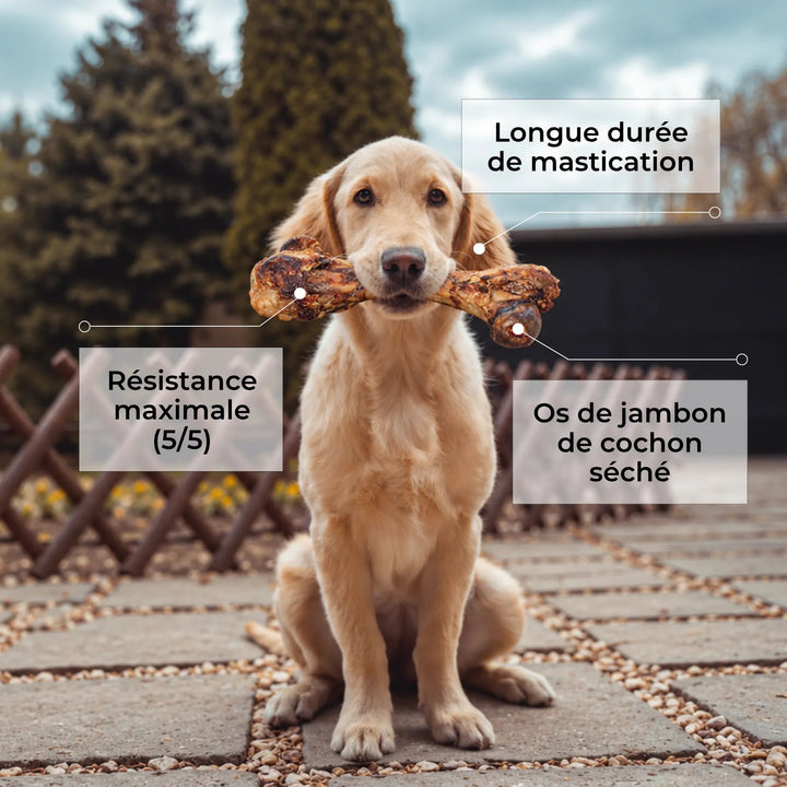 Os de jambon - #friandise_naturelle_pour_chien# - TRUFFE DÉLICE