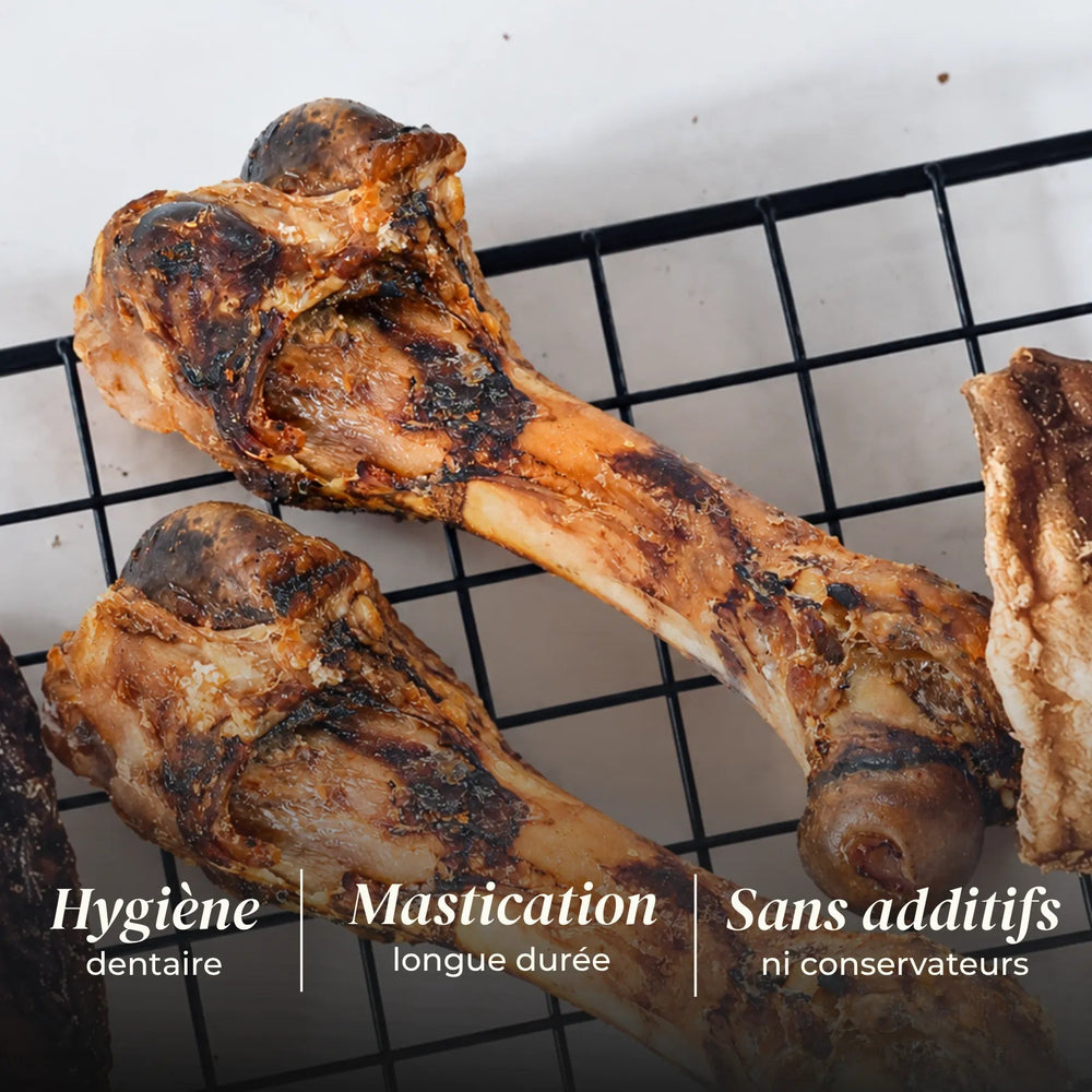 Os de jambon - #friandise_naturelle_pour_chien# - TRUFFE DÉLICE