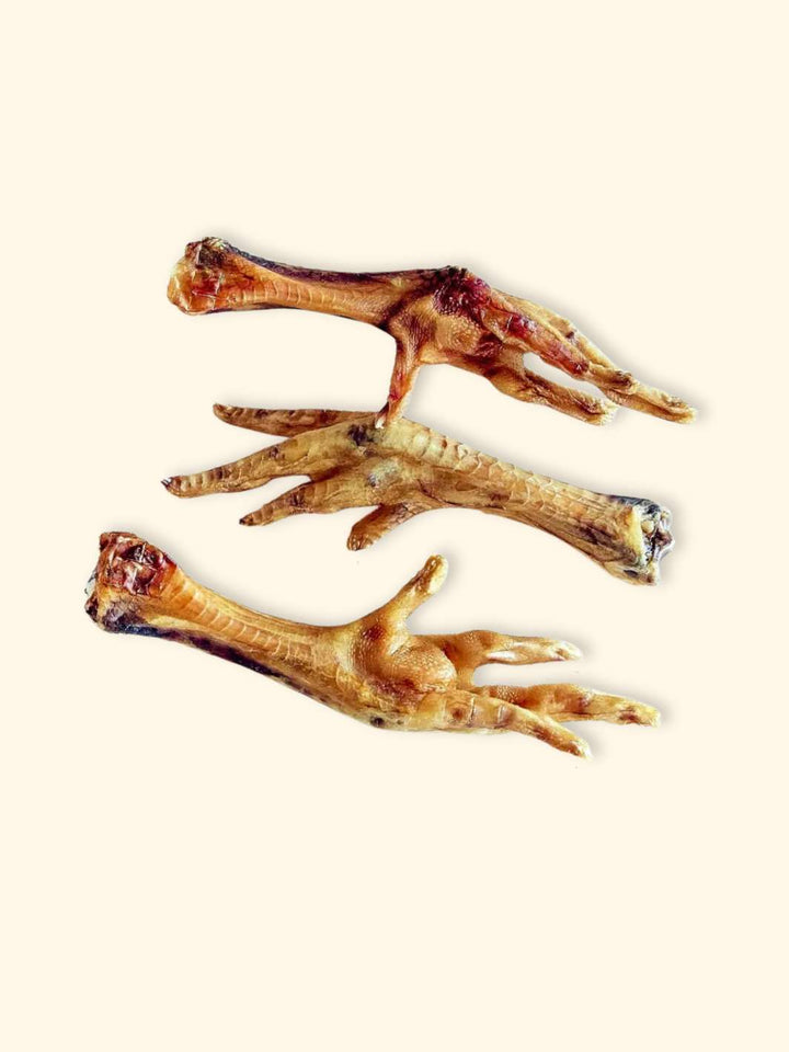 Pattes de poulet séchées - friandise_naturelle_pour_chien - TRUFFE DÉLICE