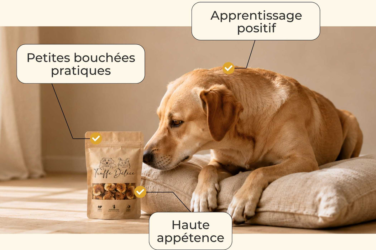 Sticks poulet banane