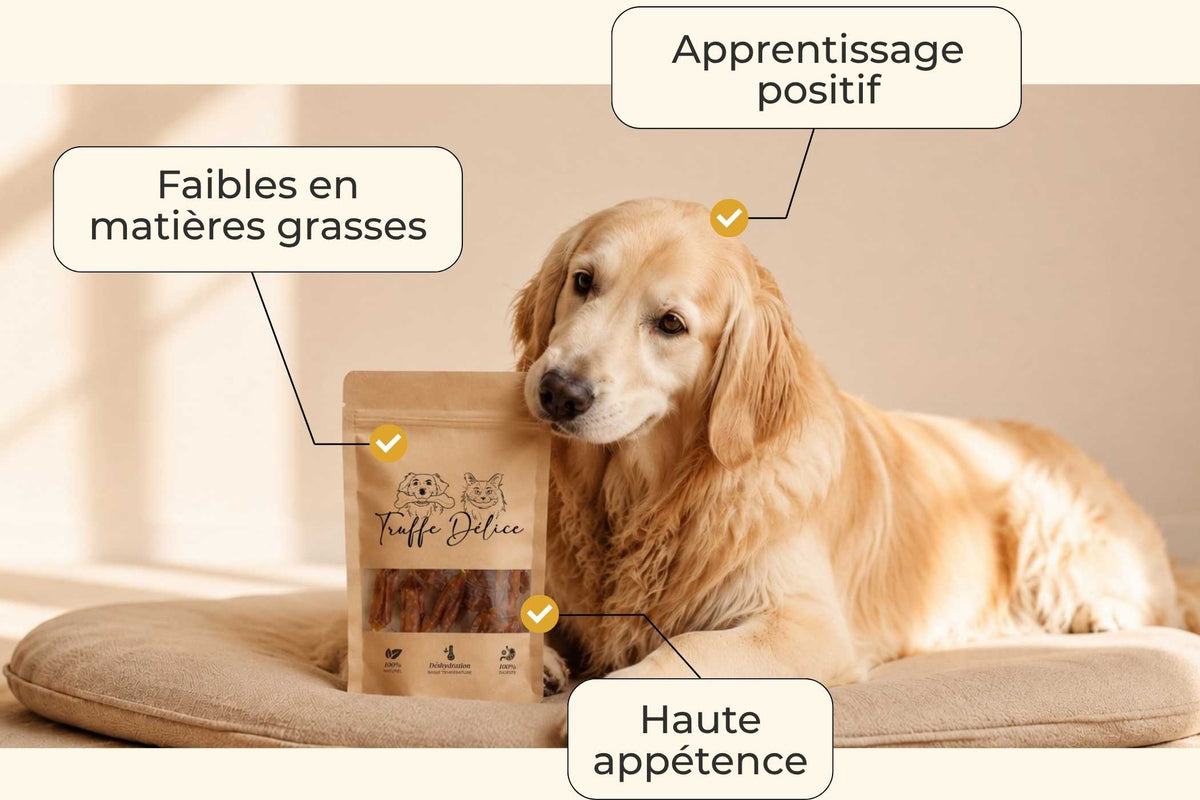 Saucisses chien poulet
