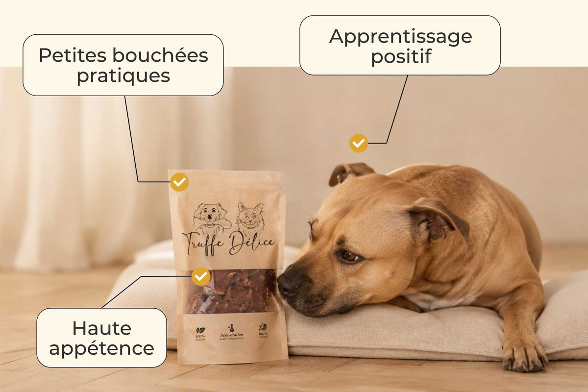 Sticks canard & poire