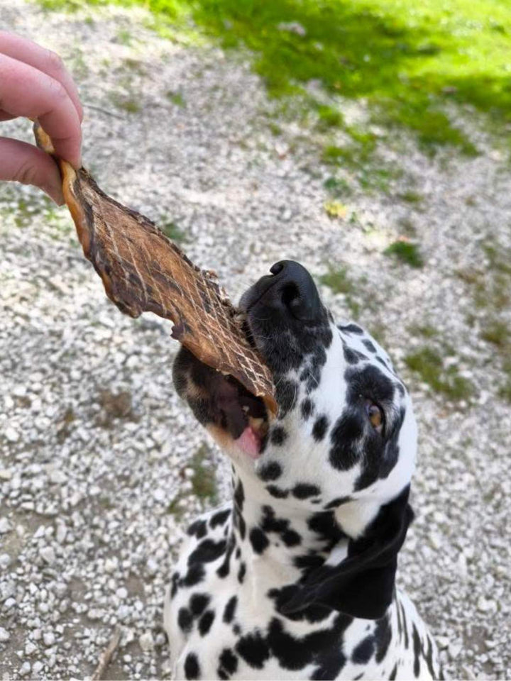 Plaque de boeuf - friandise_naturelle_pour_chien - TRUFFE DÉLICE