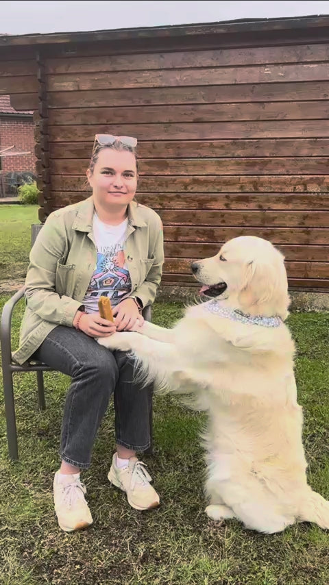 Play video - Shopify Video 1