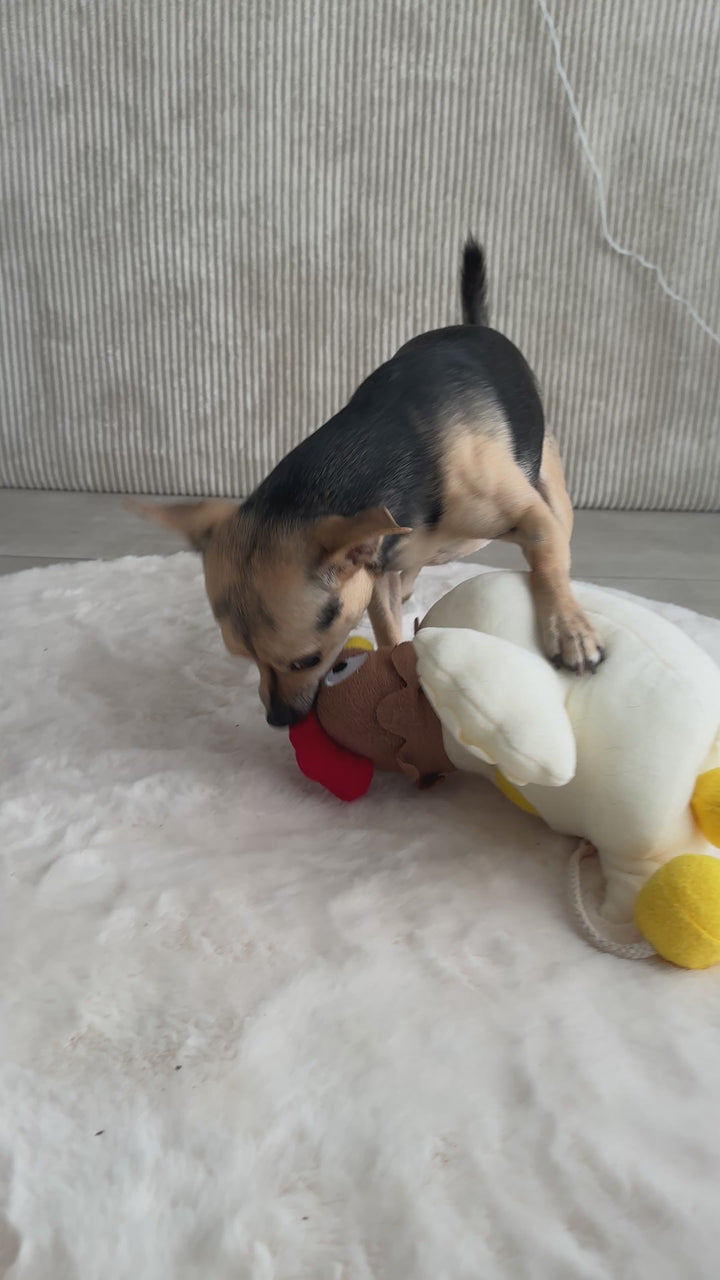 Peluche poule et ses oeufs cachés