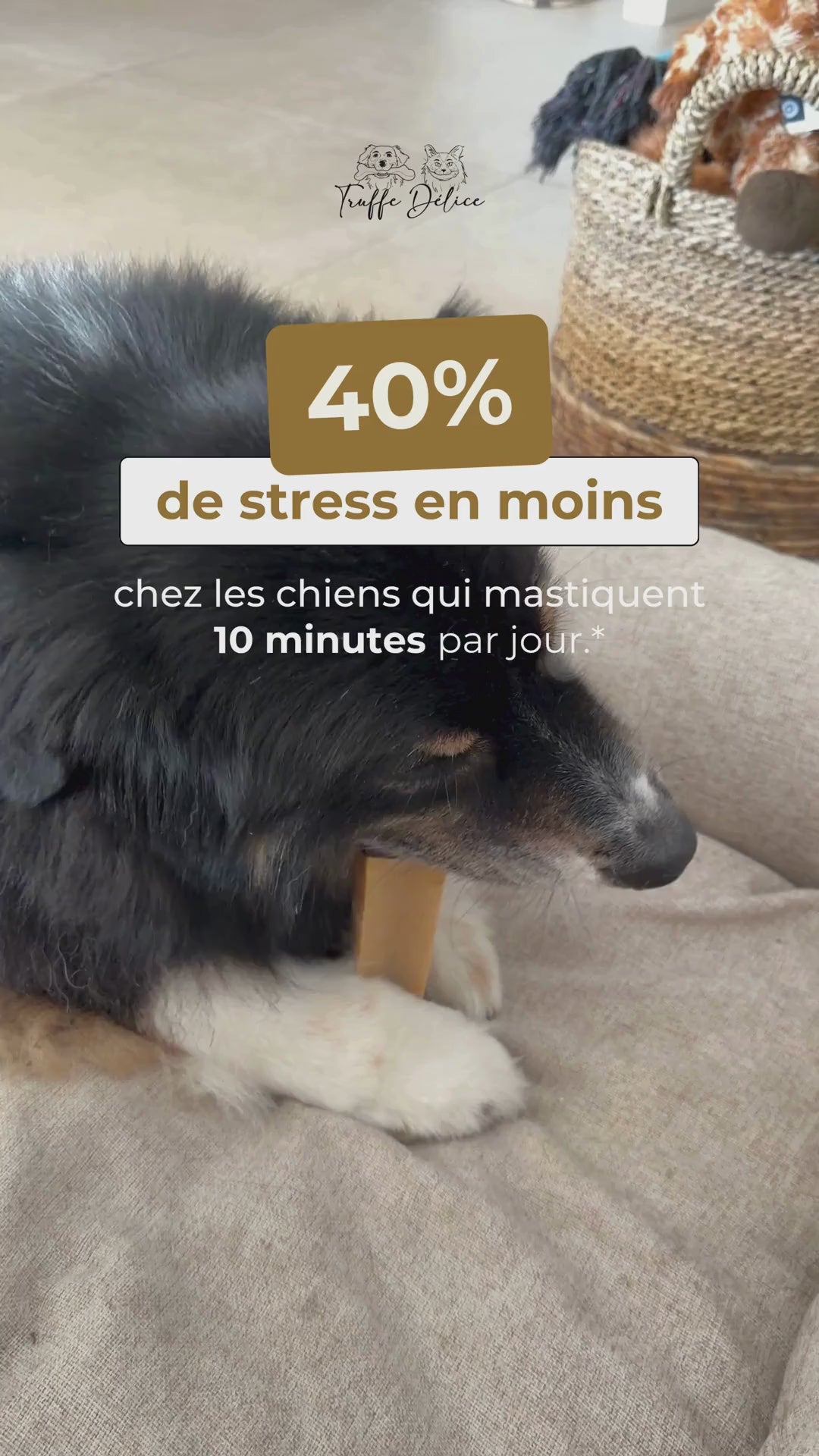 Fromage de yak