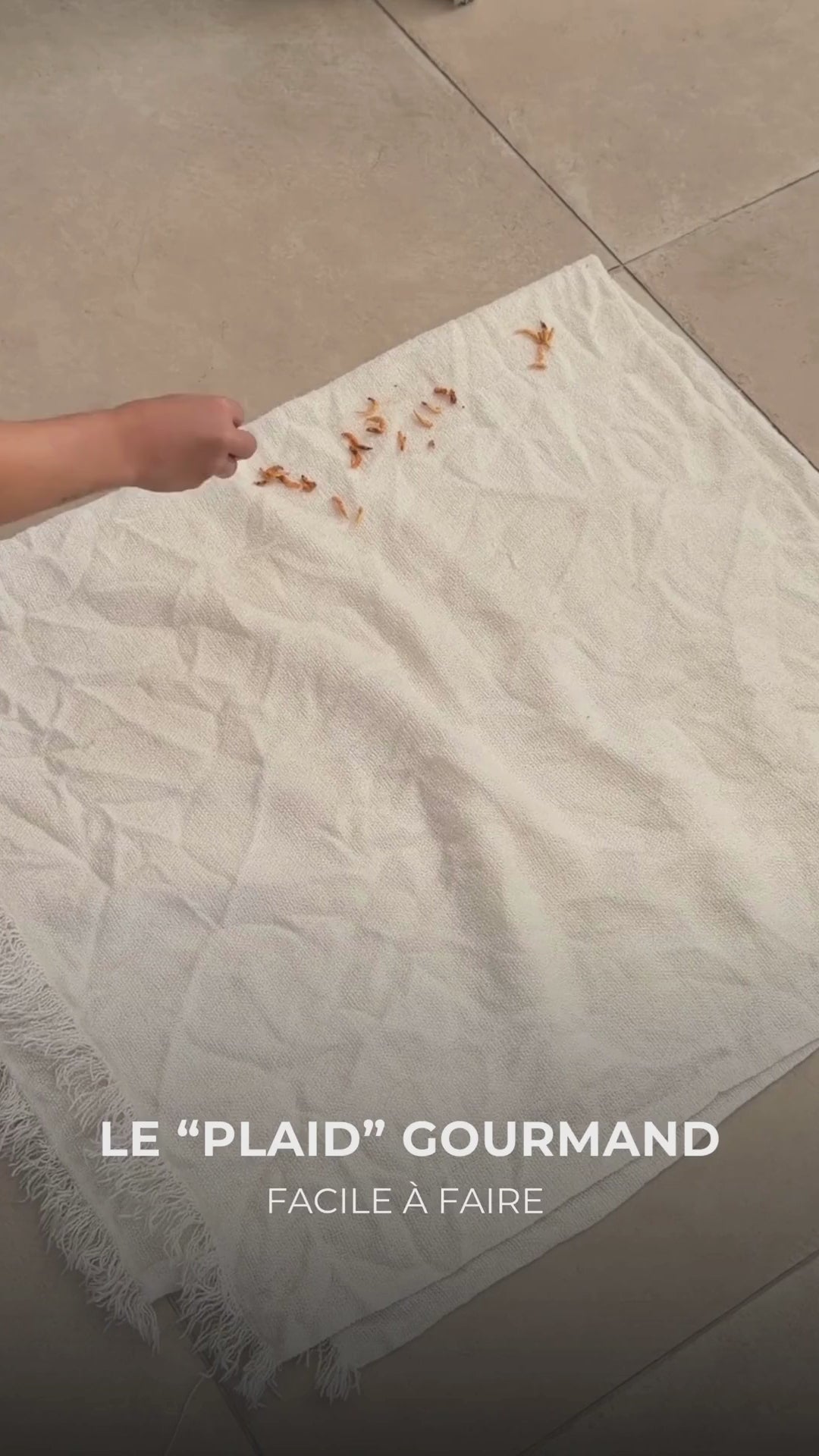 Crevettes lyophilisées Truffe Délice émiettées dans un torchon, friandise naturelle croustillante pour chien