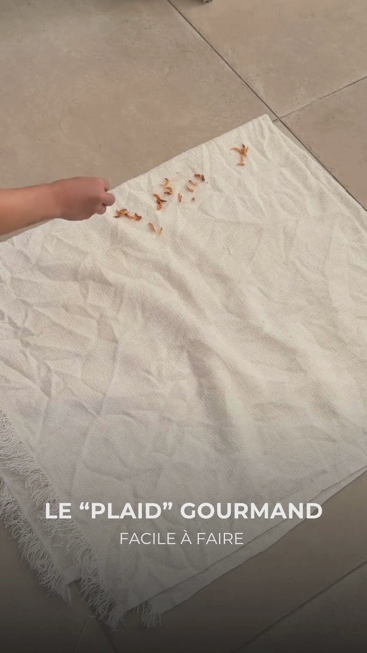 Crevettes lyophilisées Truffe Délice émiettées dans un torchon, friandise naturelle croustillante pour chien