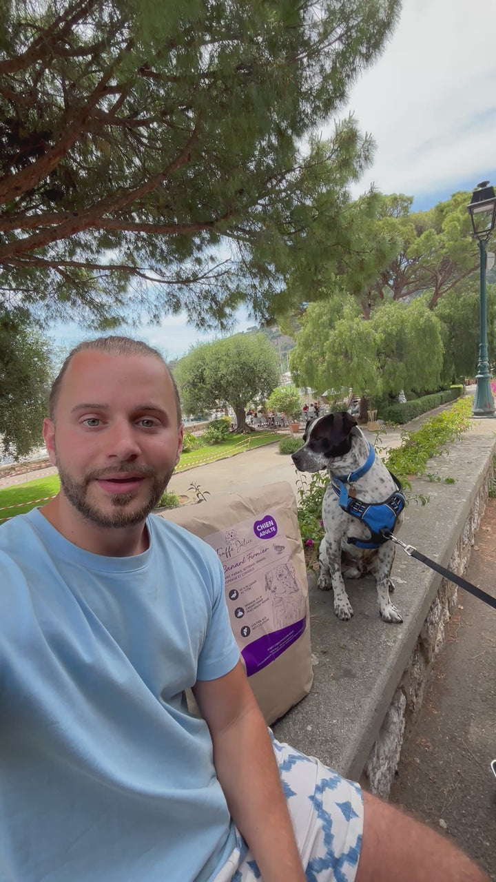 Play video - Shopify Video 3