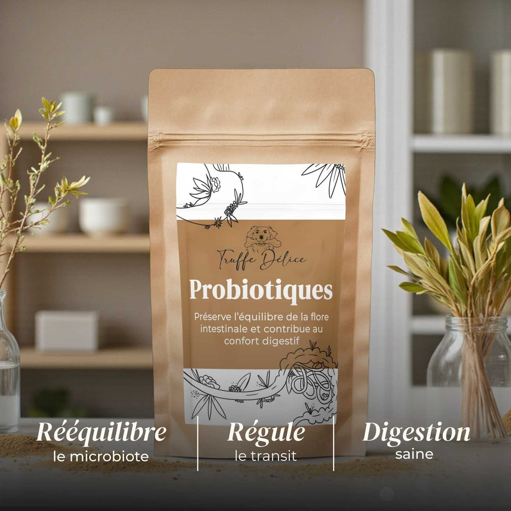 Probiotique chien - friandise_naturelle_pour_chien - TRUFFE DÉLICE