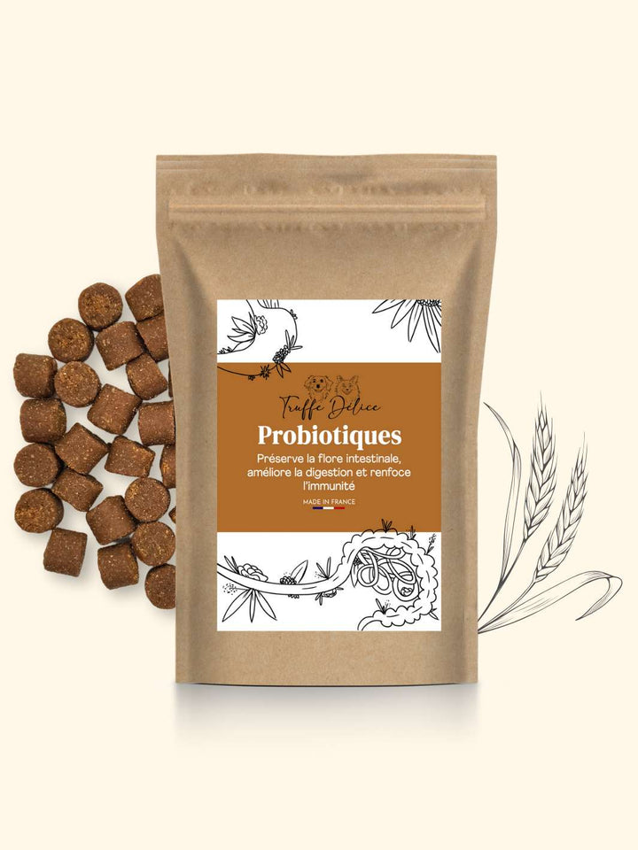 Probiotique chien - friandise_naturelle_pour_chien - TRUFFE DÉLICE