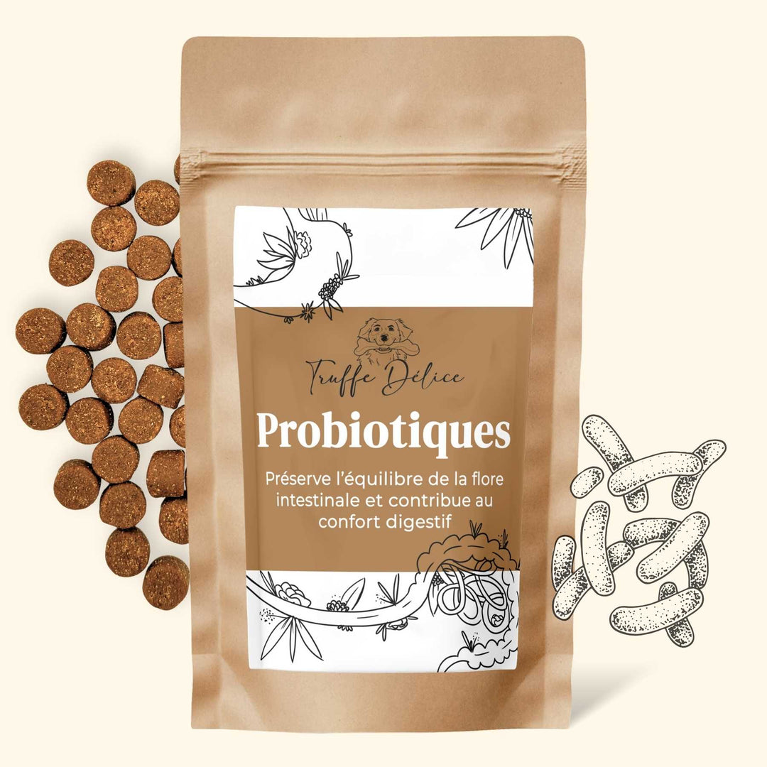 Probiotique chien - friandise_naturelle_pour_chien - TRUFFE DÉLICE