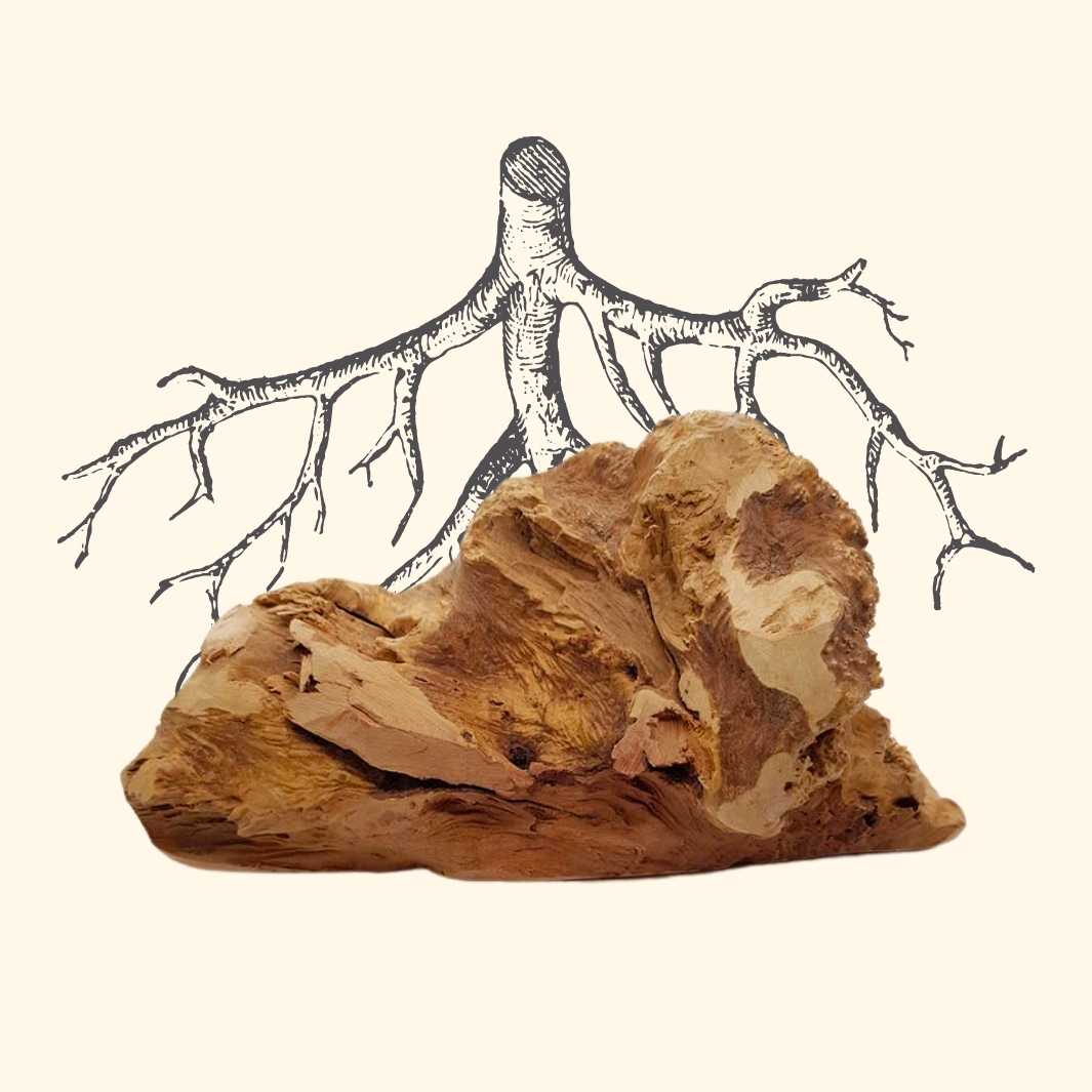 Racine de bruyère - friandise_naturelle_pour_chien - TRUFFE DÉLICE