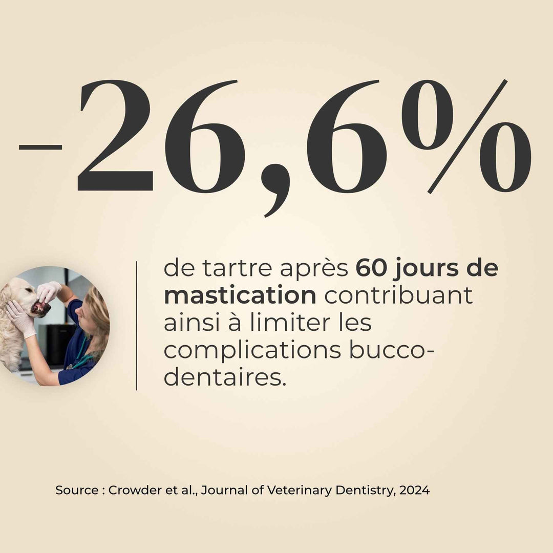 Sabot de veau chien - friandise_naturelle_pour_chien - TRUFFE DÉLICE