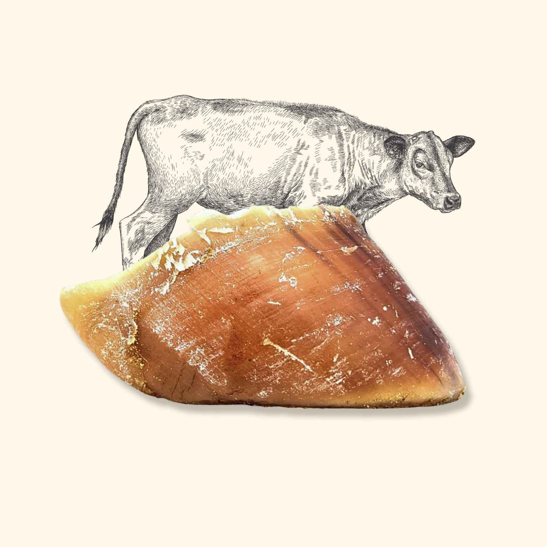 Sabot de veau chien - friandise_naturelle_pour_chien - TRUFFE DÉLICE