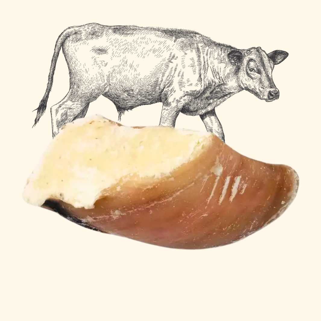 Sabot de veau garni - friandise_naturelle_pour_chien - TRUFFE DÉLICE