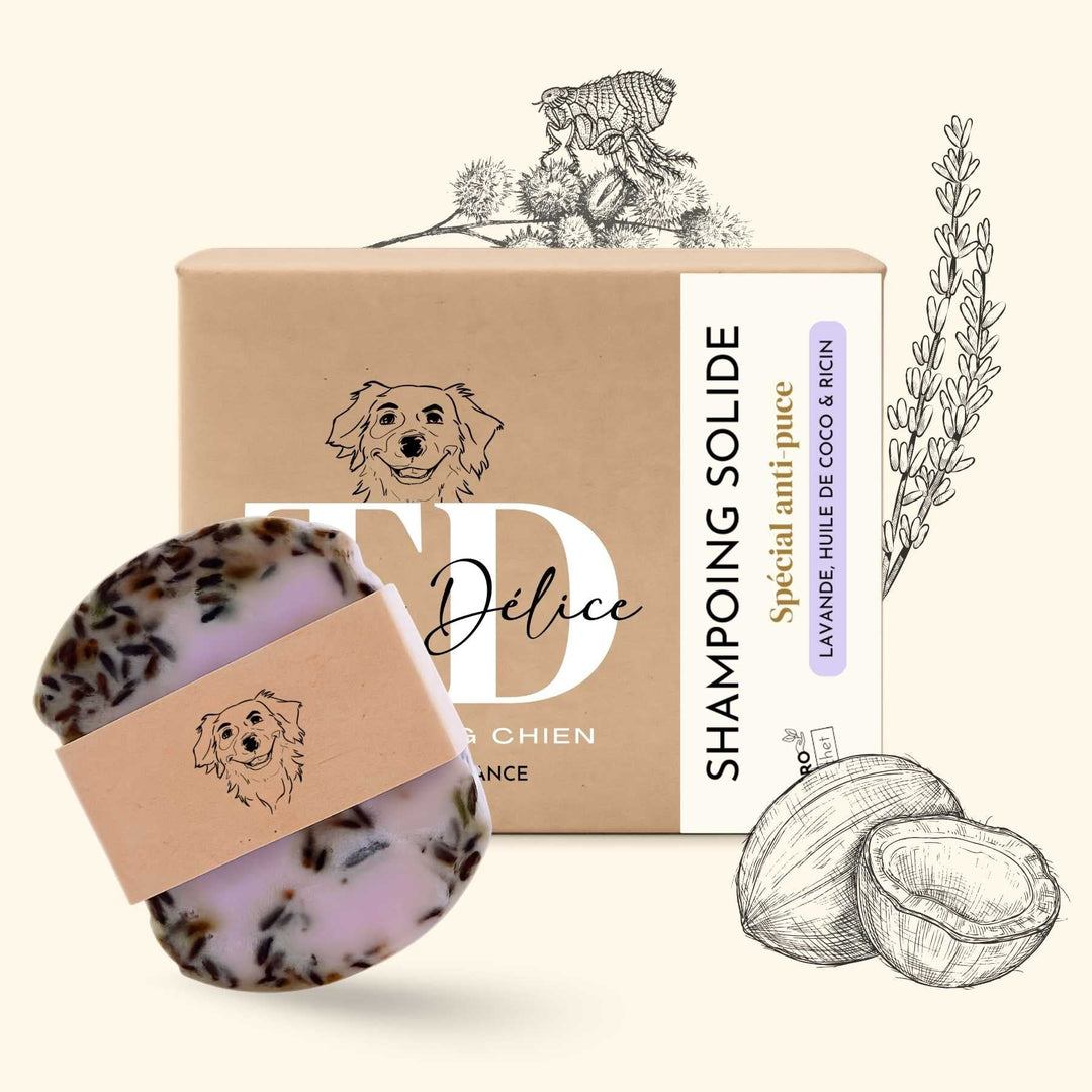 Shampoing anti puce chien - friandise_naturelle_pour_chien - TRUFFE DÉLICE