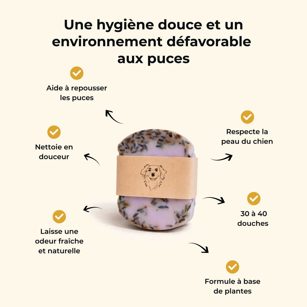 Shampoing anti puce chien - friandise_naturelle_pour_chien - TRUFFE DÉLICE
