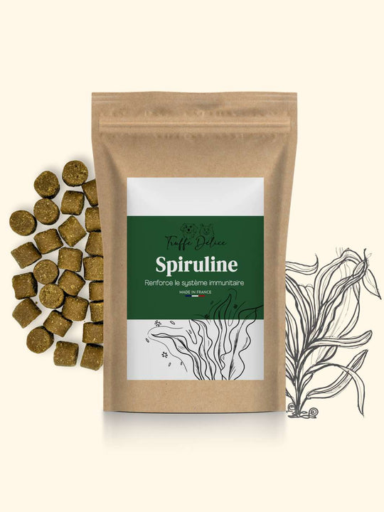Spirulina for dogs