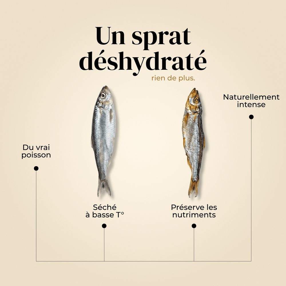 Sprats - friandise_naturelle_pour_chien - TRUFFE DÉLICE