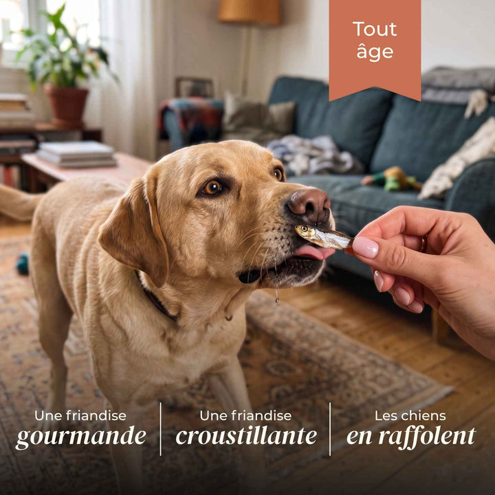 Sprats - friandise_naturelle_pour_chien - TRUFFE DÉLICE