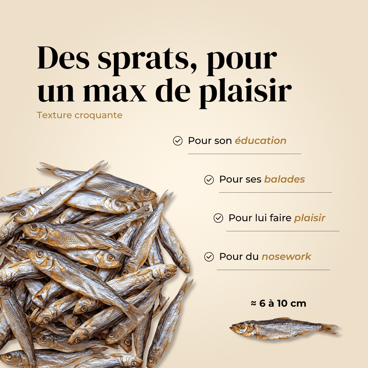 Sprats - friandise_naturelle_pour_chien - TRUFFE DÉLICE
